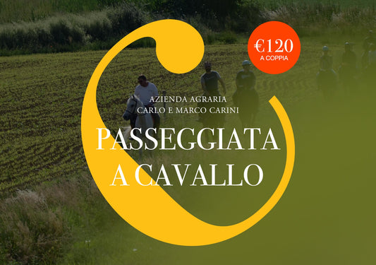 Passeggiata a Cavallo con Degustazione – Esperienza per 2 Persone