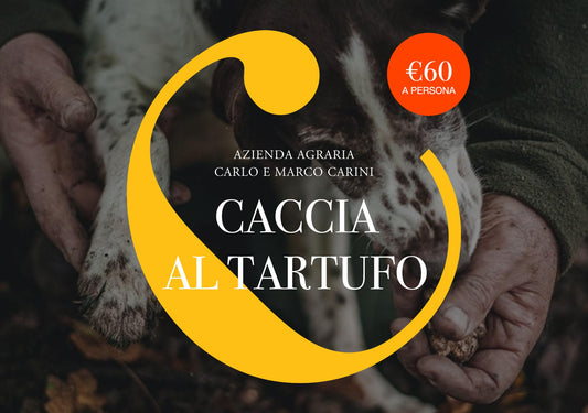 Caccia al Tartufo e Degustazione