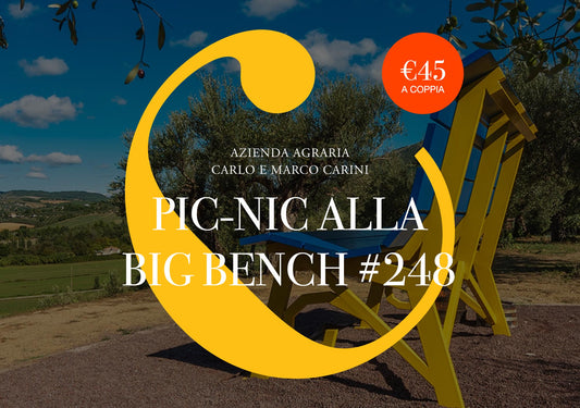 Pic-nic alla Big Bench
