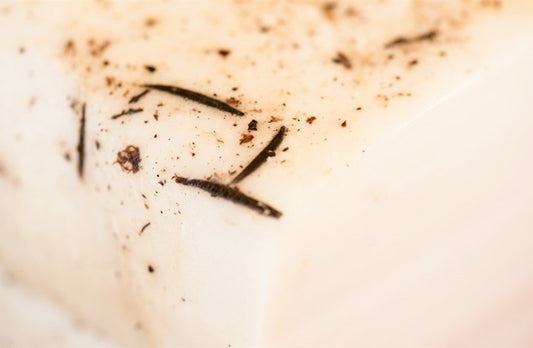 LARDO DI CINTA SENESE