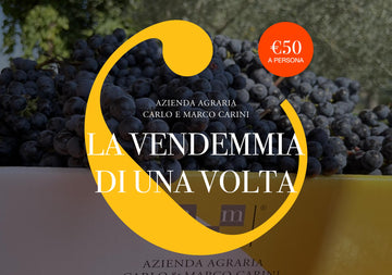 La Vendemmia di una Volta