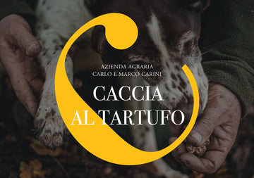Caccia al Tartufo e Degustazione