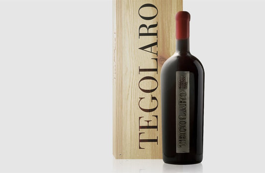 TEGOLARO MAGNUM - I.G.T. Umbria Rosso Biologico